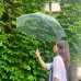 PANDA PANZOU Transparent Umbrella – Stylish Clear Dome Umbrella for Full Coverage – Ideal for Rainy Days and Visibility