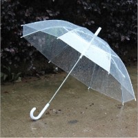 PANDA PANZOU Transparent Umbrella – Stylish Clear Dome Umbrella for Full Coverage – Ideal for Rainy Days and Visibility